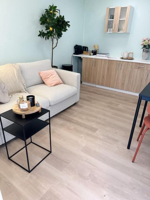 Wellness Studio Tiel Met Sauna En Jacuzzi Exterior photo